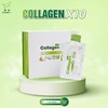 TPBVSK COLLAGEN X10
